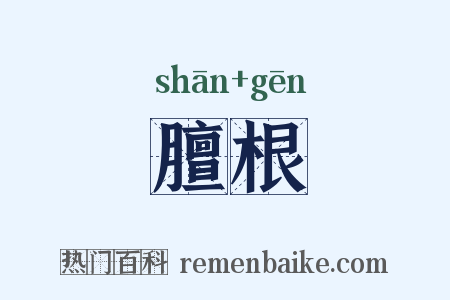 膻根是什么意思的图片